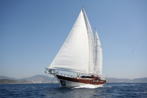 Gulet White Goose Bodrum Turkey